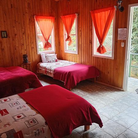 Miriam'S Quetzals Lodge San Gerardo de Dota Dış mekan fotoğraf