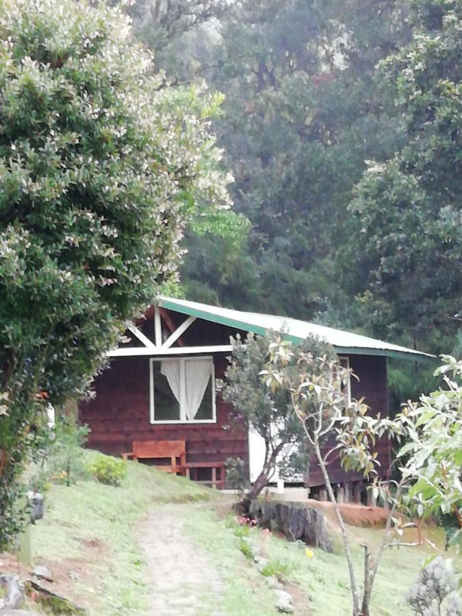 Miriam'S Quetzals Lodge San Gerardo de Dota Dış mekan fotoğraf