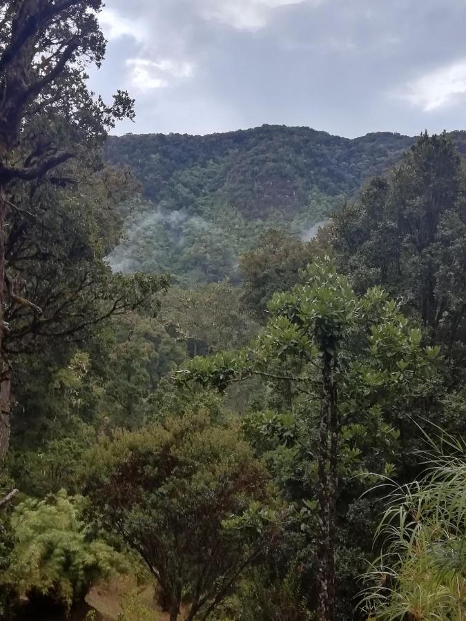 Miriam'S Quetzals Lodge San Gerardo de Dota Dış mekan fotoğraf