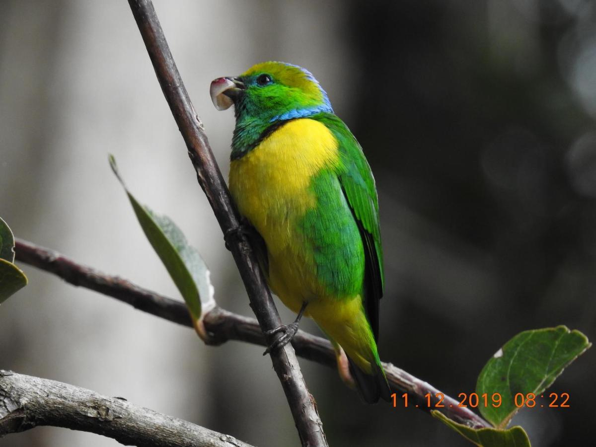 Miriam'S Quetzals Lodge San Gerardo de Dota Dış mekan fotoğraf