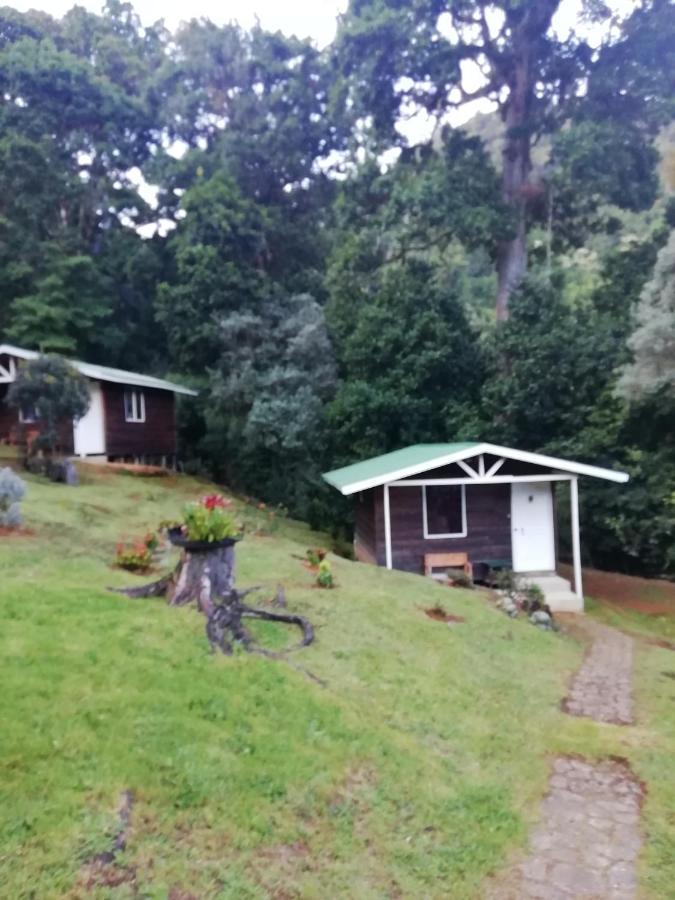 Miriam'S Quetzals Lodge San Gerardo de Dota Dış mekan fotoğraf