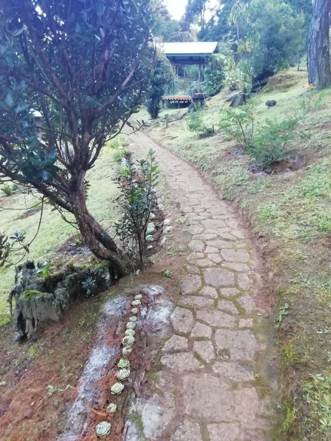Miriam'S Quetzals Lodge San Gerardo de Dota Dış mekan fotoğraf