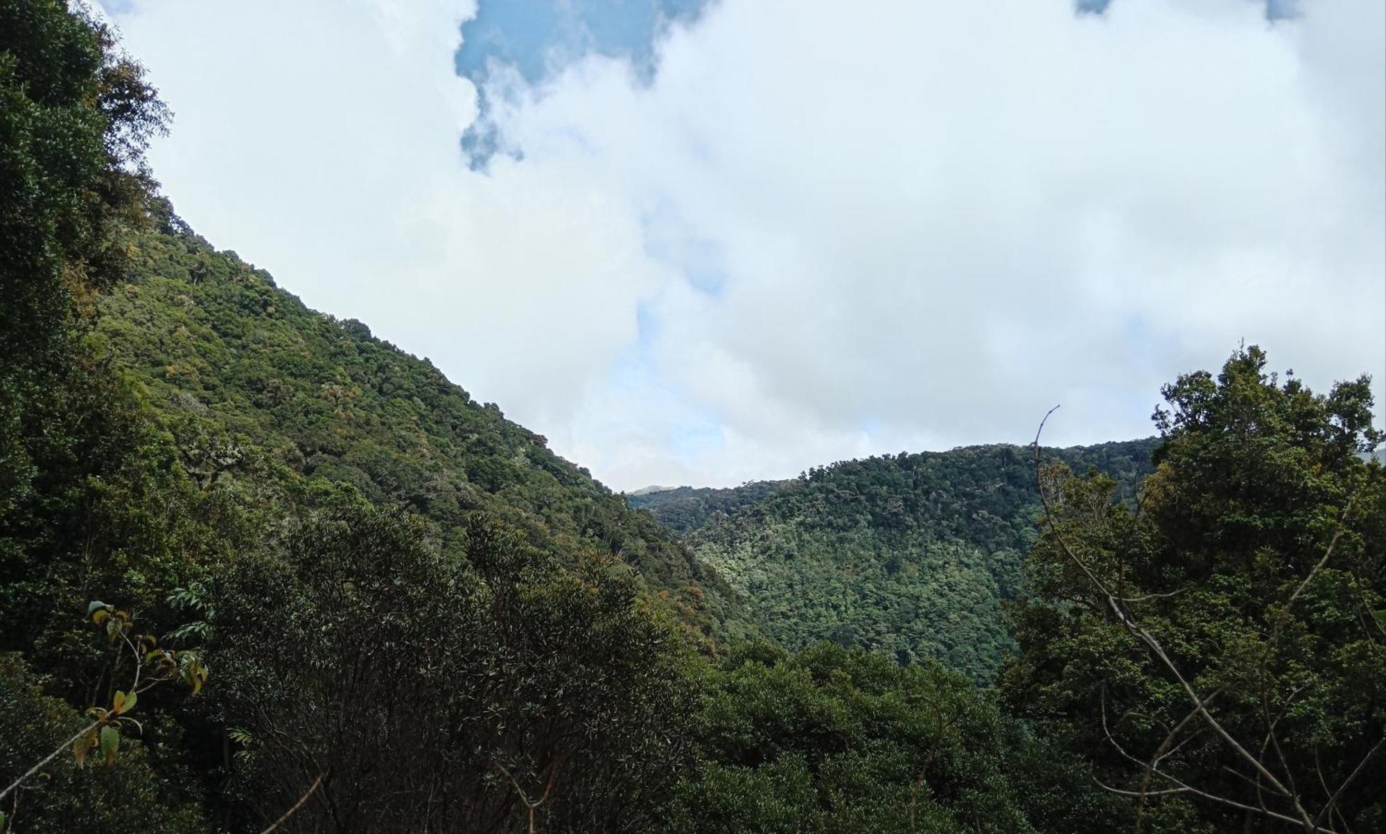 Miriam'S Quetzals Lodge San Gerardo de Dota Dış mekan fotoğraf