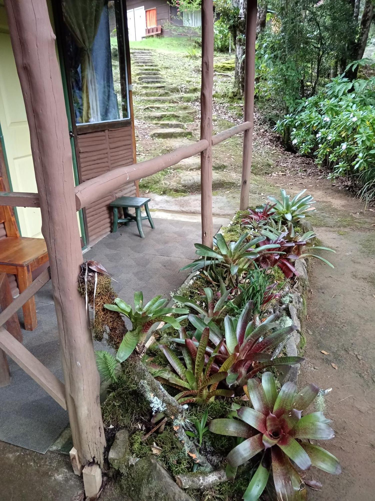 Miriam'S Quetzals Lodge San Gerardo de Dota Dış mekan fotoğraf