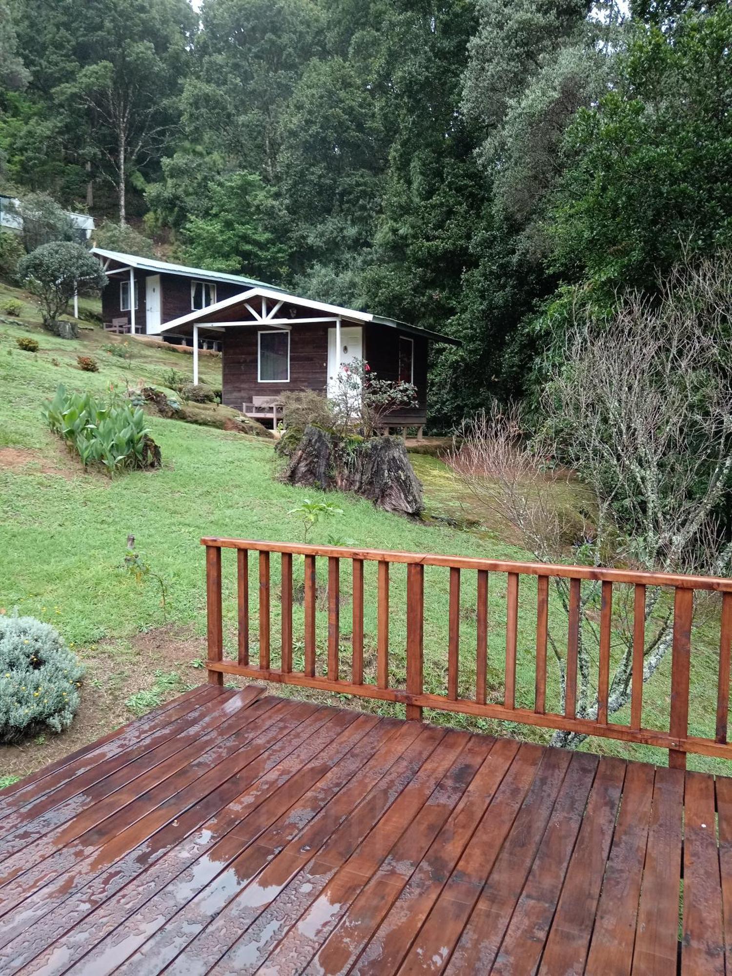 Miriam'S Quetzals Lodge San Gerardo de Dota Dış mekan fotoğraf