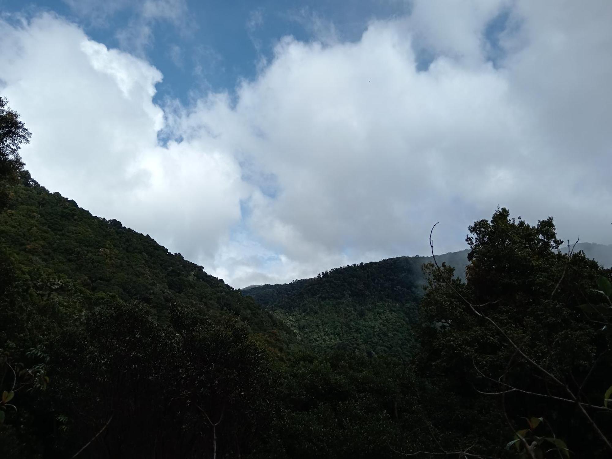 Miriam'S Quetzals Lodge San Gerardo de Dota Dış mekan fotoğraf