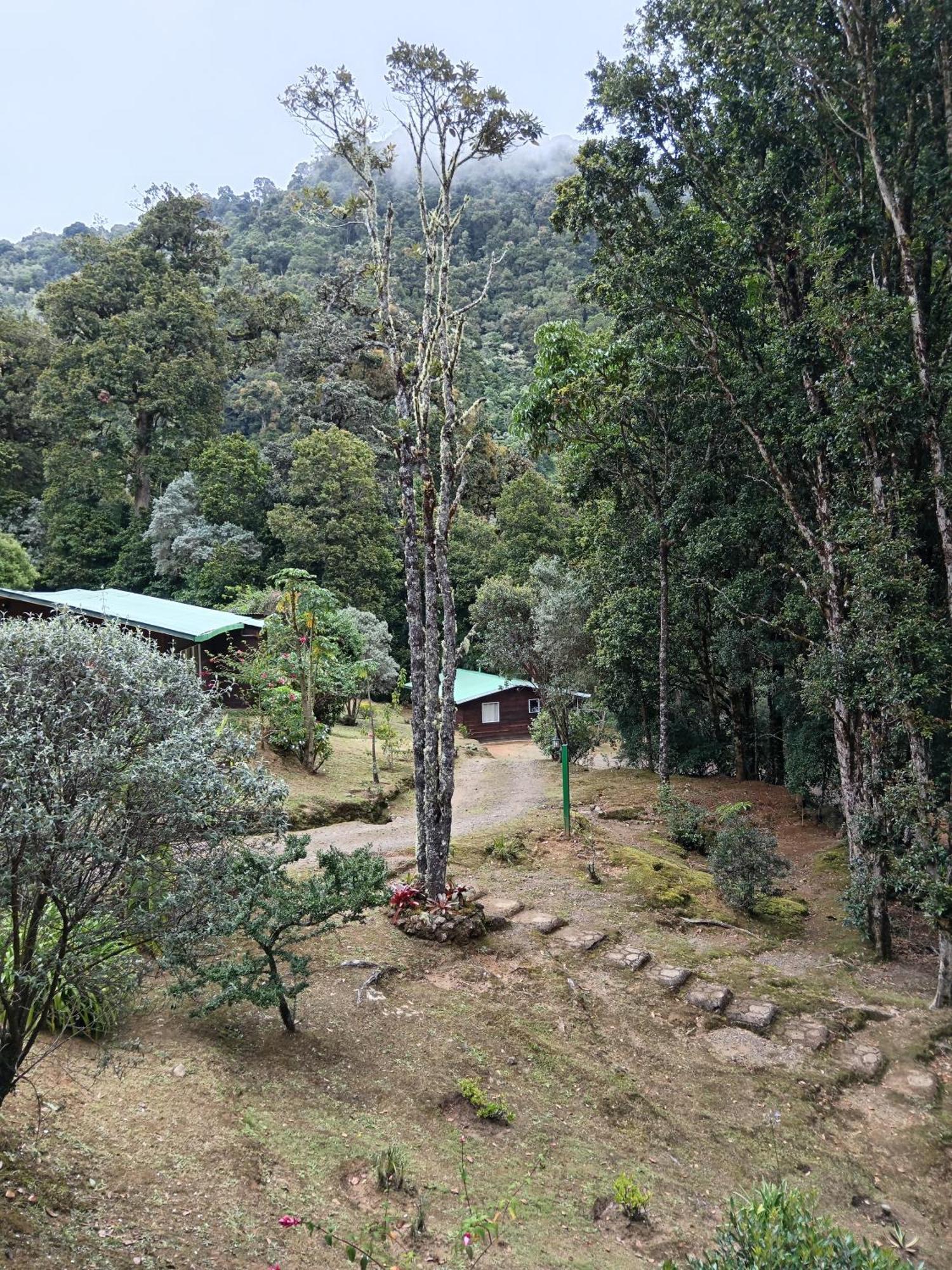 Miriam'S Quetzals Lodge San Gerardo de Dota Dış mekan fotoğraf