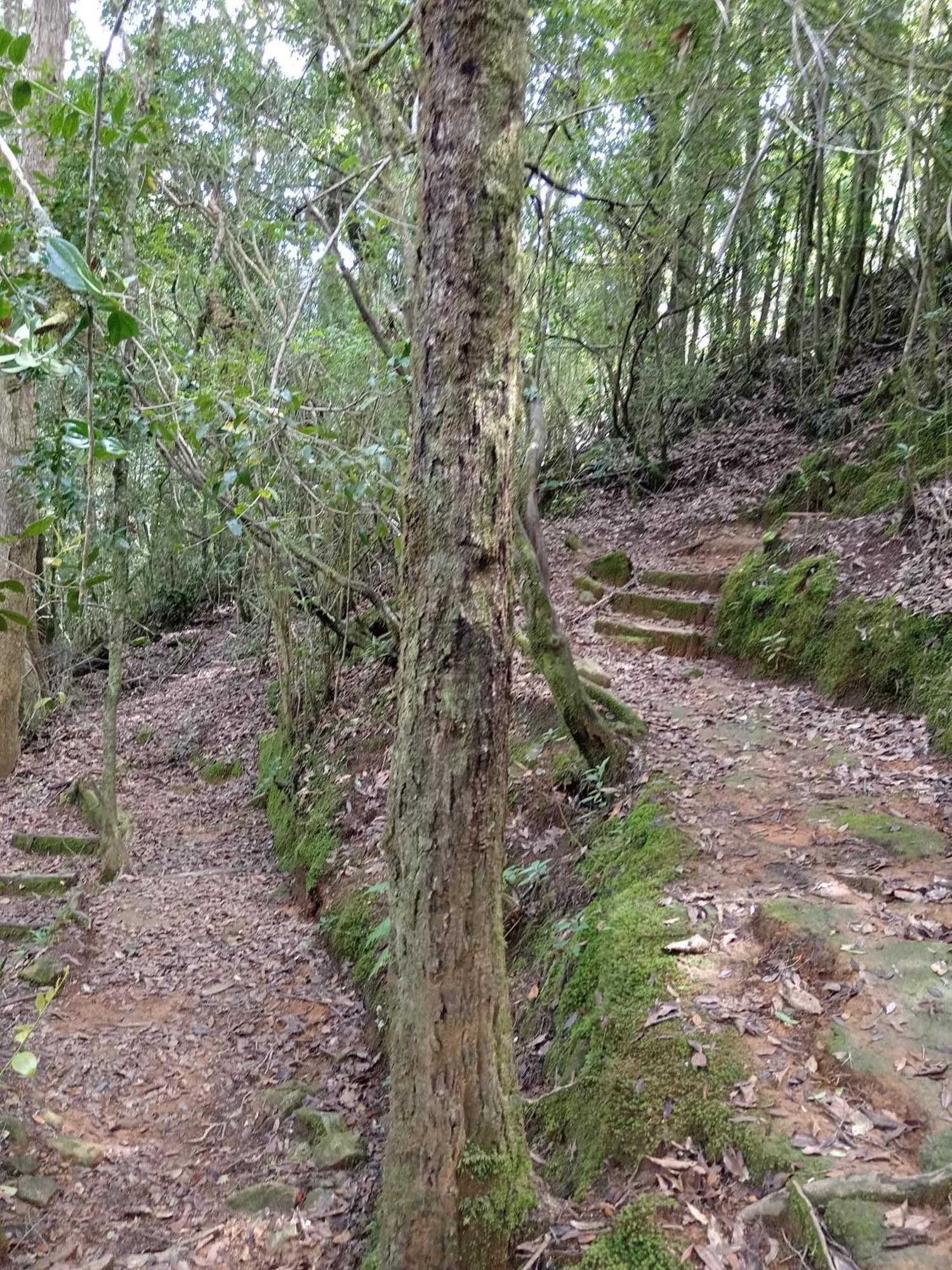 Miriam'S Quetzals Lodge San Gerardo de Dota Dış mekan fotoğraf