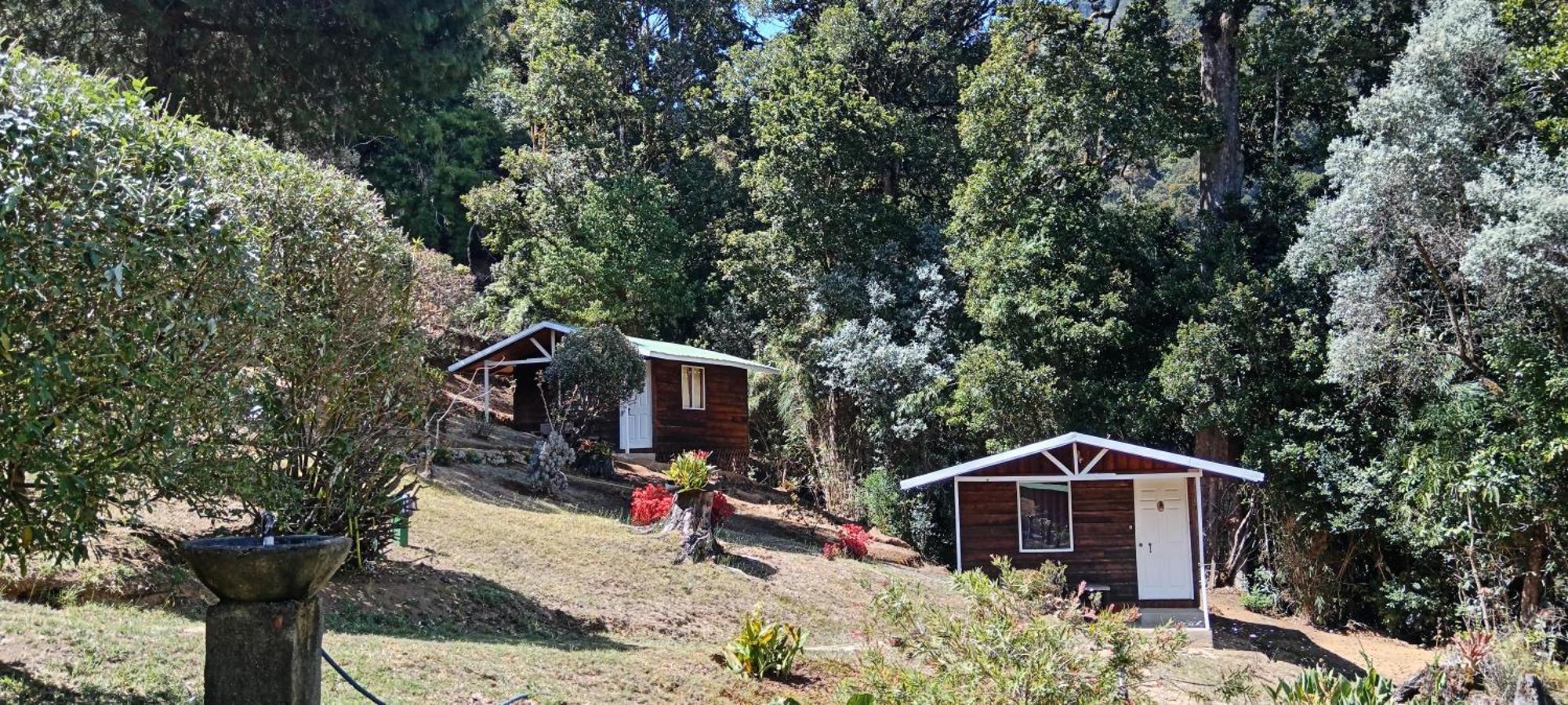 Miriam'S Quetzals Lodge San Gerardo de Dota Dış mekan fotoğraf