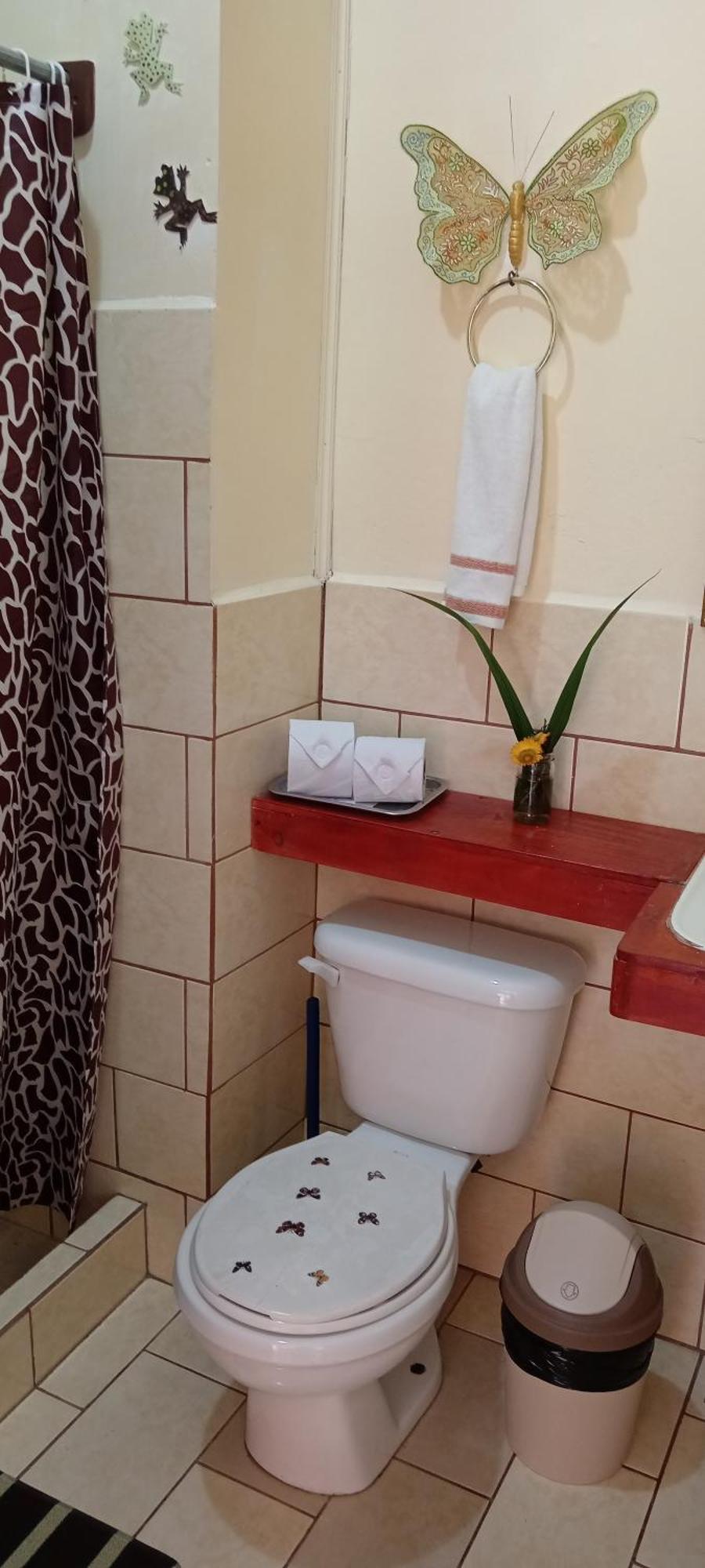 Miriam'S Quetzals Lodge San Gerardo de Dota Dış mekan fotoğraf