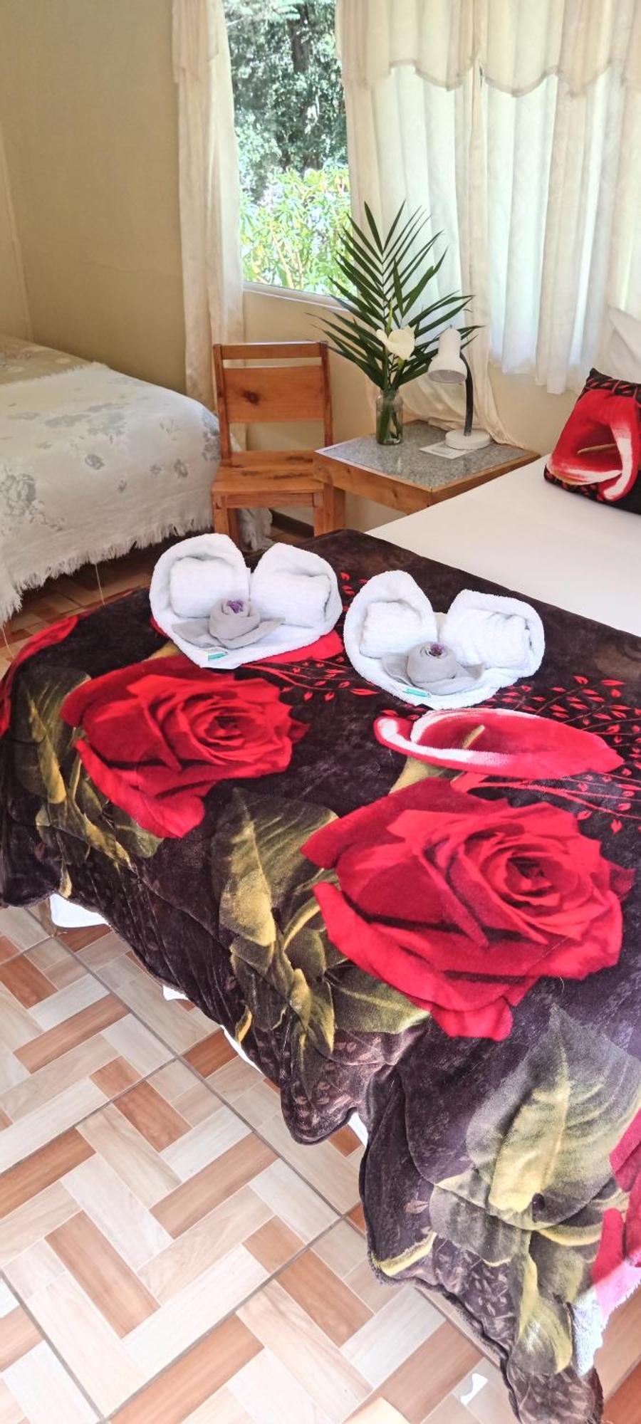 Miriam'S Quetzals Lodge San Gerardo de Dota Dış mekan fotoğraf