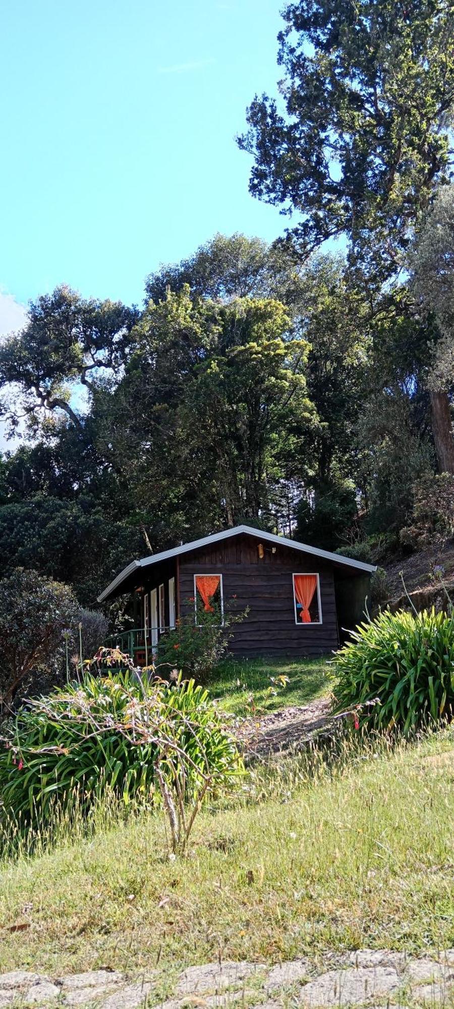 Miriam'S Quetzals Lodge San Gerardo de Dota Dış mekan fotoğraf