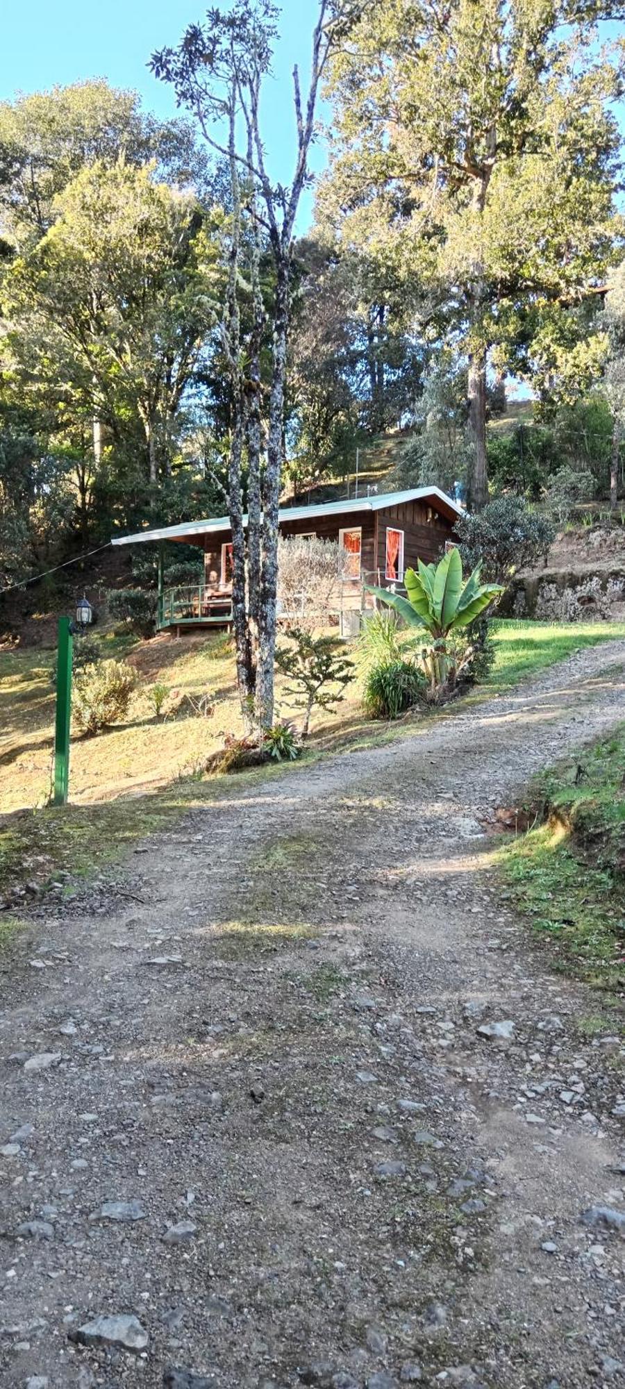Miriam'S Quetzals Lodge San Gerardo de Dota Dış mekan fotoğraf
