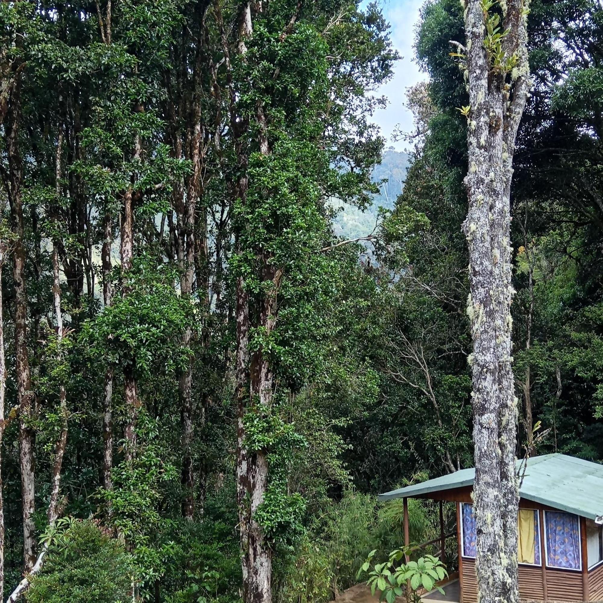 Miriam'S Quetzals Lodge San Gerardo de Dota Dış mekan fotoğraf