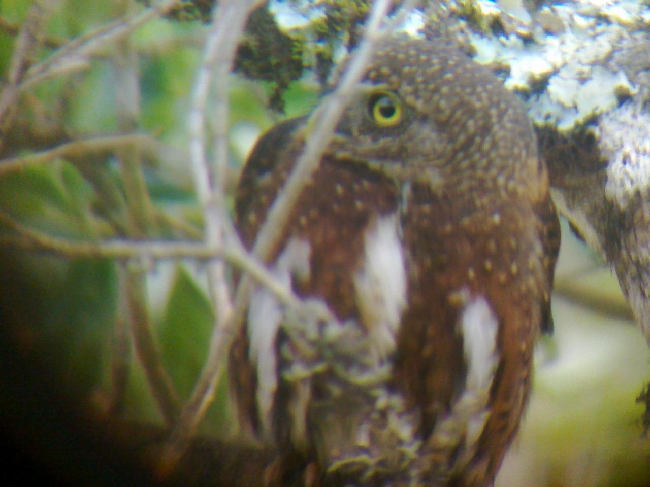 Miriam'S Quetzals Lodge San Gerardo de Dota Dış mekan fotoğraf