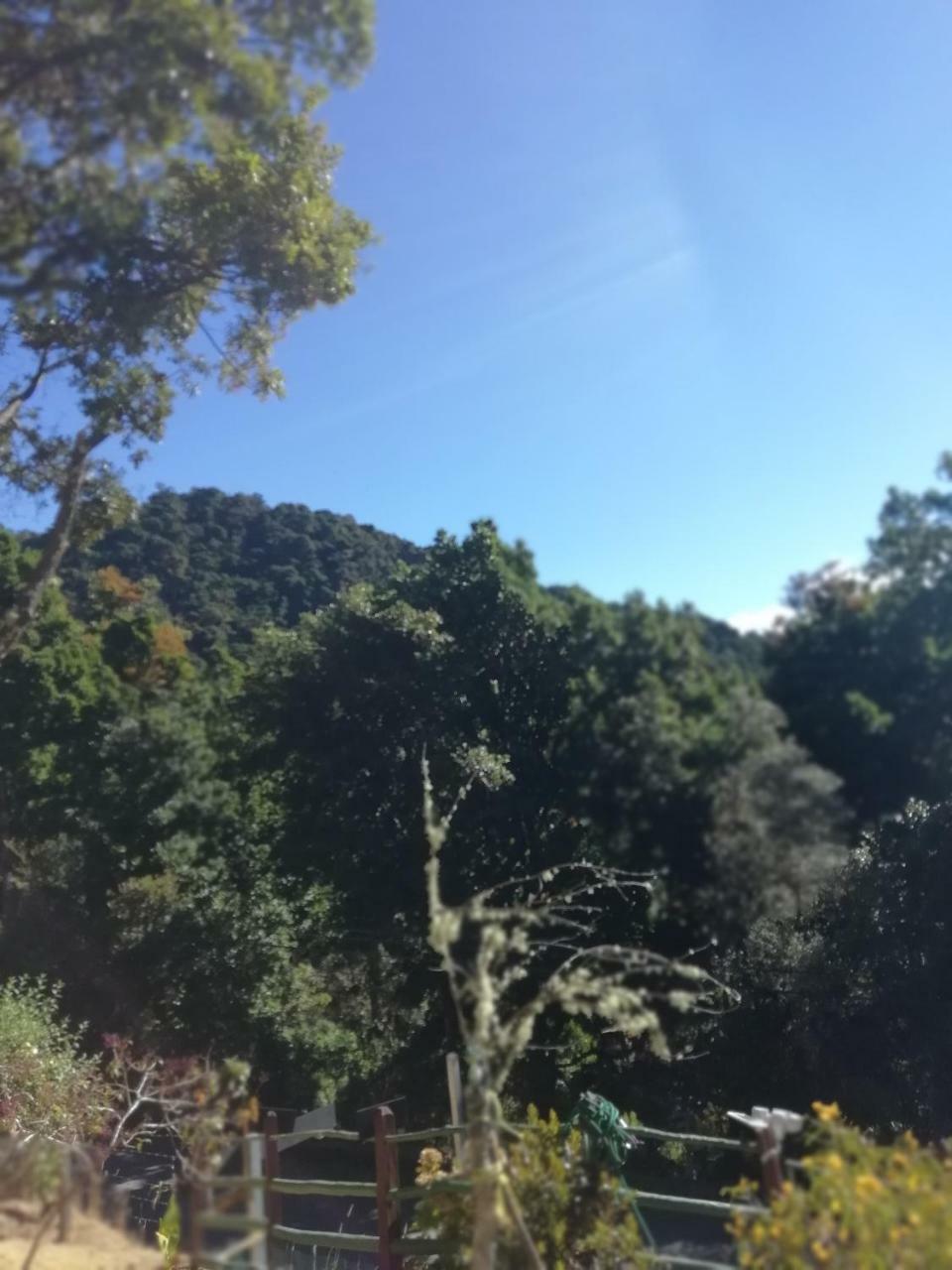 Miriam'S Quetzals Lodge San Gerardo de Dota Dış mekan fotoğraf
