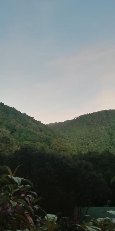 Miriam'S Quetzals Lodge San Gerardo de Dota Dış mekan fotoğraf